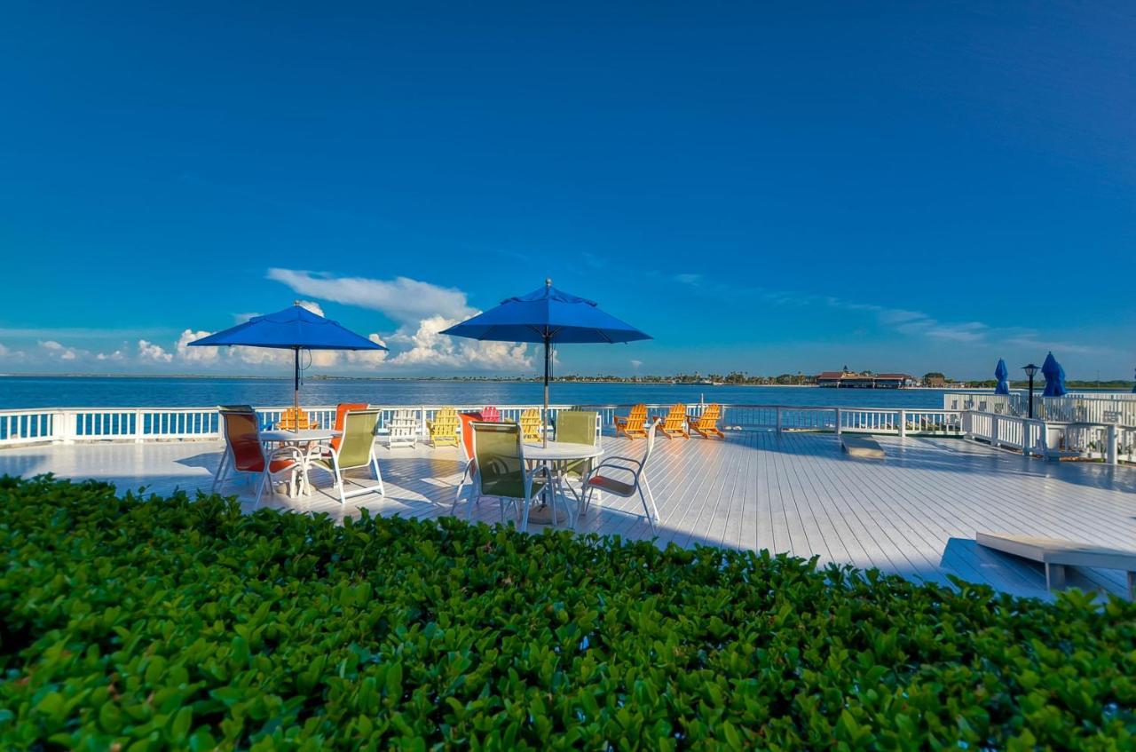 202-Pool, Wifi, Close To Bucs Stadium Tampa Eksteriør bilde